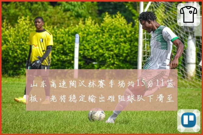 山东高速陶汉林赛季场均15分11篮板，老将稳定输出难阻球队下滑至第十