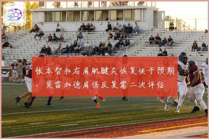 张本智和右肩肌腱炎恢复快于预期，莫雷加德肩伤反复需二次评估